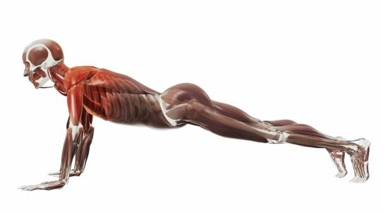 ABS Workout czyli Absolutnie Bez-Sensowny Trening mięśni brzucha: